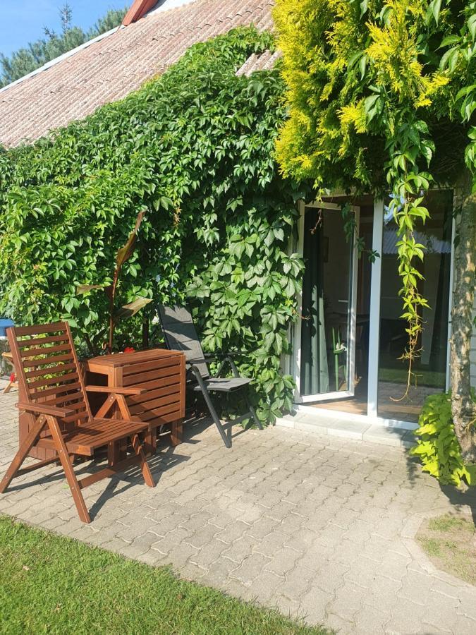 Grape House Kintai Lejlighed Kinty Eksteriør billede
